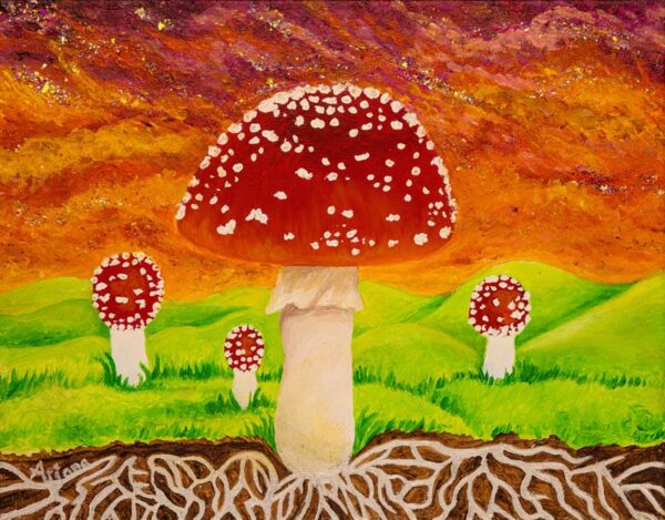 amanita sunset